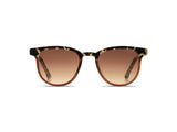 Sonnenbrille Francis Bronze Bobcat