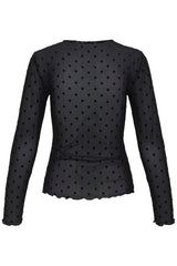 Top Shirley Dot in Meteorite