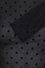 Top Shirley Dot in Meteorite