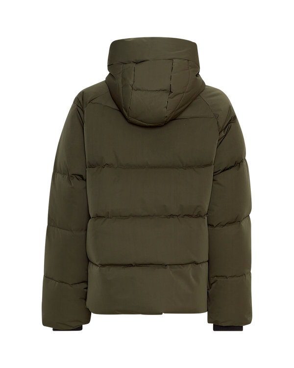 Jacke Pavinaria in Forest Night