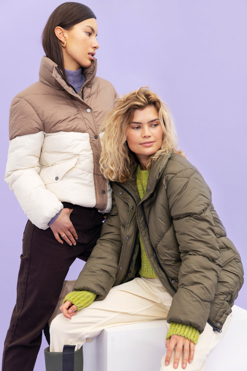 Jacke Abela in Sea Turtle