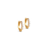 Ohrringe Paula Pearl in Gold